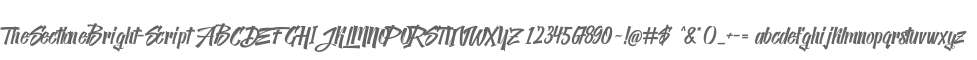 TheSectioneBright-Script