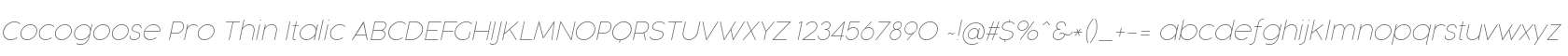 Cocogoose Pro Thin Italic