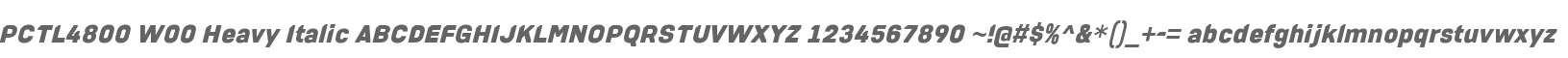 PCTL4800 W00 Heavy Italic