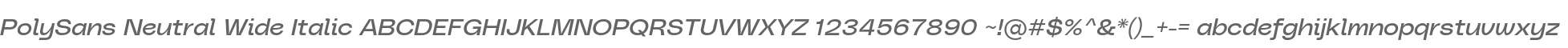 PolySans Neutral Wide Italic