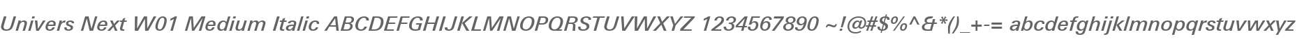 Univers Next W01 Medium Italic