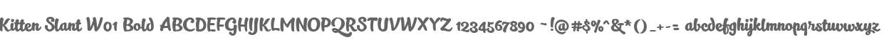 Kitten Slant W01 Bold