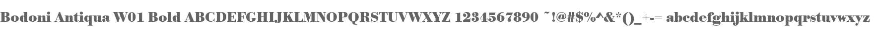 Bodoni Antiqua W01 Bold