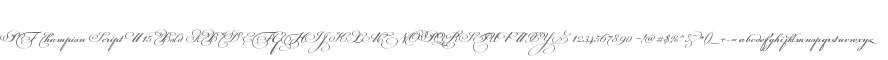 PF Champion Script W15 Bold