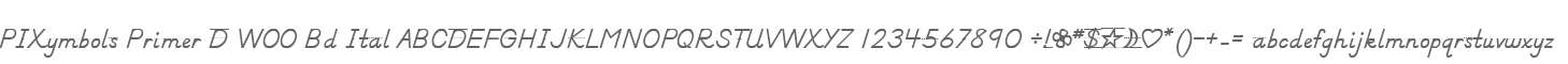 PIXymbols Primer D W00 Bd Ital