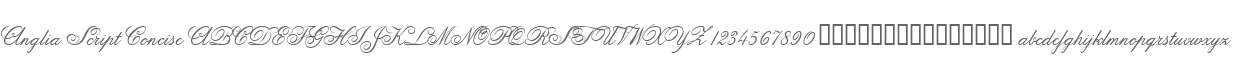 Anglia Script Concise