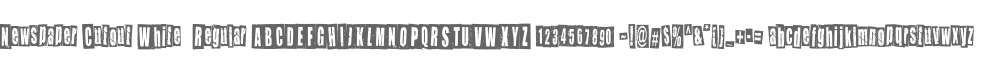 Newspaper Cutout White  Regular