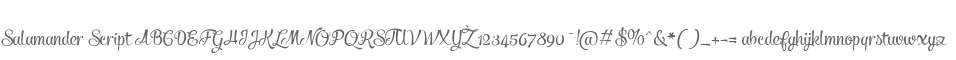 Salamander Script