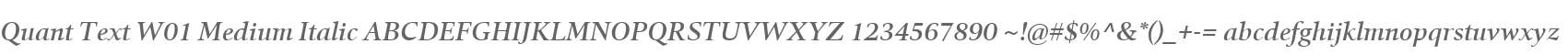 Quant Text W01 Medium Italic