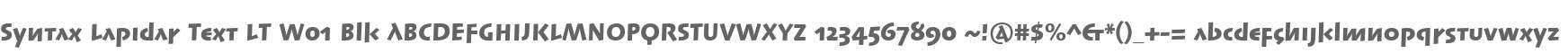 Syntax Lapidar Text LT W01 Blk