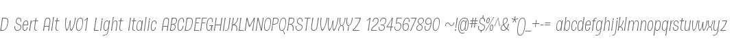 D Sert Alt W01 Light Italic