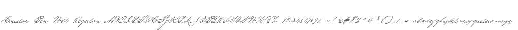 Houston Pen W04 Regular