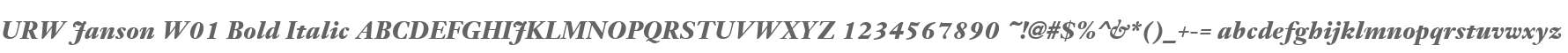 URW Janson W01 Bold Italic