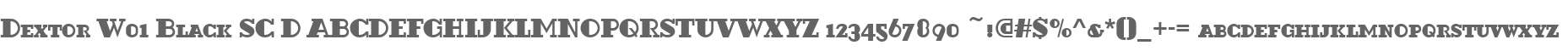 Dextor W01 Black SC D