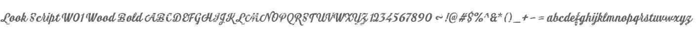 Look Script W01 Wood Bold