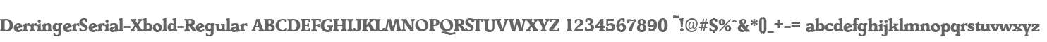 DerringerSerial-Xbold-Regular