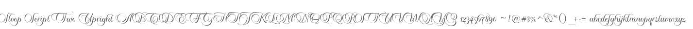 Sloop Script Two Upright