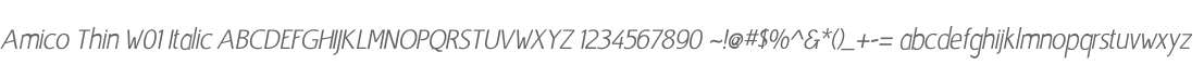 Amico Thin W01 Italic