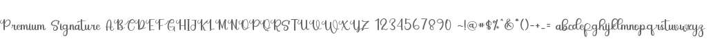 Premium Signature