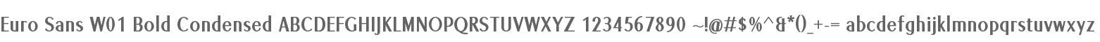 Euro Sans W01 Bold Condensed