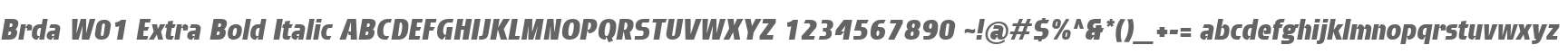 Brda W01 Extra Bold Italic