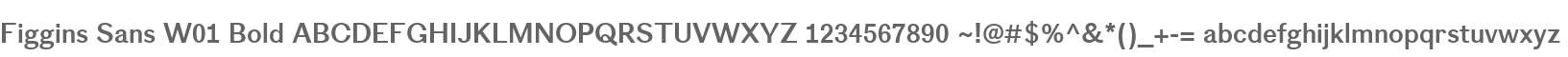 Figgins Sans W01 Bold