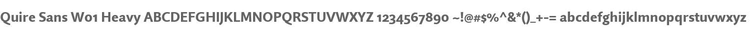 Quire Sans W01 Heavy