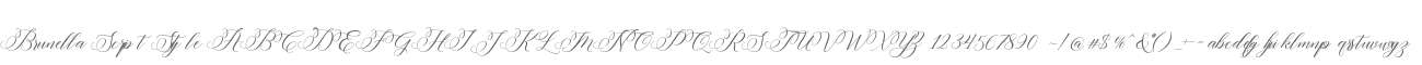 Brunella Script Style