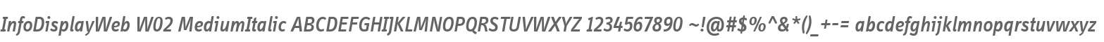 InfoDisplayWeb W02 MediumItalic