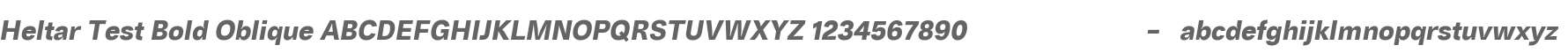 Heltar Test Bold Oblique