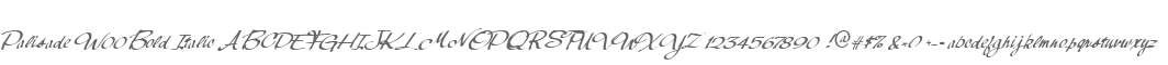 Palisade W00 Bold Italic