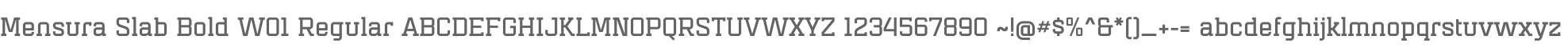 Mensura Slab Bold W01 Regular