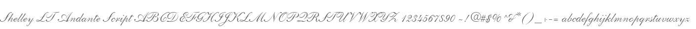 Shelley LT Andante Script