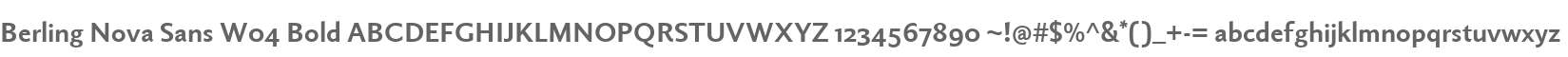 Berling Nova Sans W04 Bold