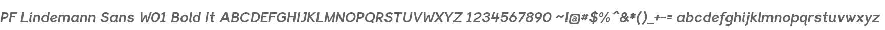 PF Lindemann Sans W01 Bold It