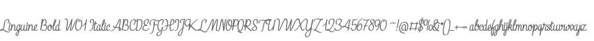 Linguine Bold W01 Italic