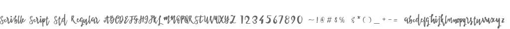 Scriblle Script Std