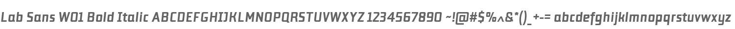 Lab Sans W01 Bold Italic
