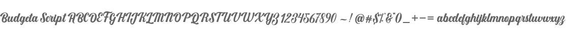 Budgeta Script