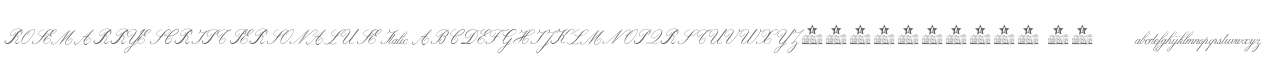 ROSEMARRYE SCRIPT PERSONAL USE Italic