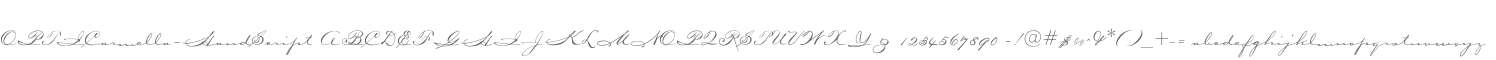 OPTICarmella-HandScript
