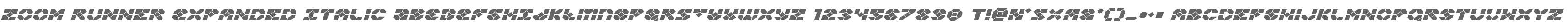 Zoom Runner Expanded Italic