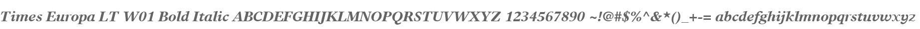 Times Europa LT W01 Bold Italic