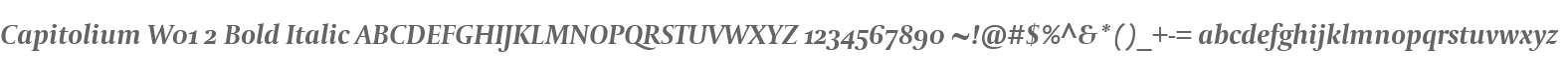 Capitolium W01 2 Bold Italic