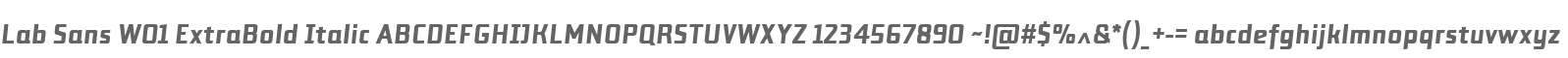 Lab Sans W01 ExtraBold Italic