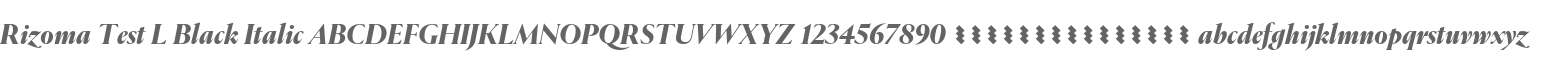 Rizoma Test L Black