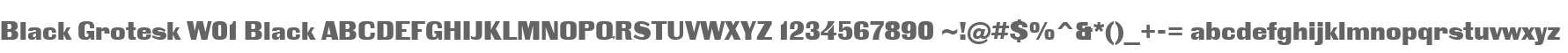 Black Grotesk W01 Black