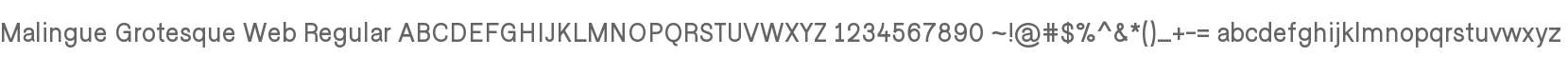 Malingue Grotesque Web Regular