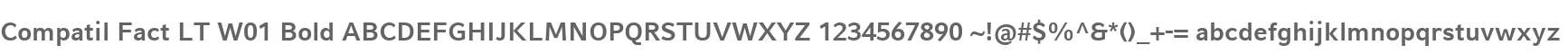 Compatil Fact LT W01 Bold