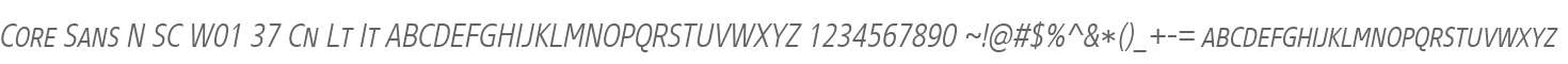 Core Sans N SC W01 37 Cn Lt It